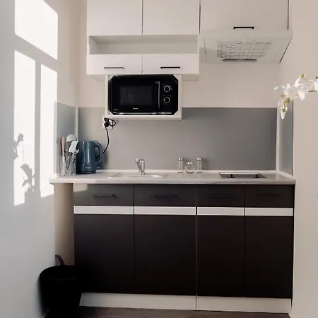 Centrum Apartment Novy Bor