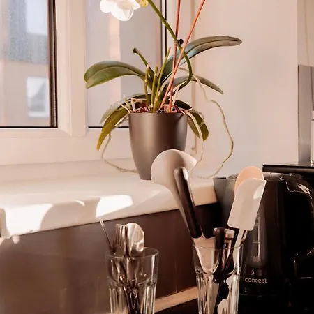 Apartment Centrum Novy Bor
