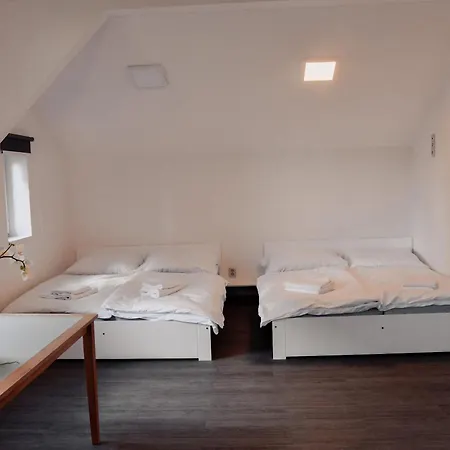 Centrum Apartment Novy Bor